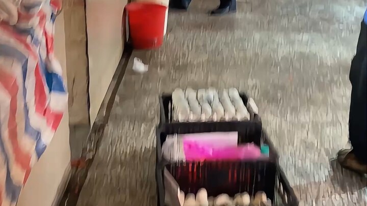 70块钱拿下超帅小黑狗！这坐姿一看就是护院的好狗！