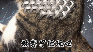 I decided to make a Shanwen armor (not a historical reconstruction). But after making half of it, I 