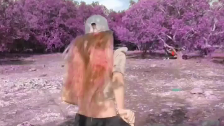 purple valley filter in ig