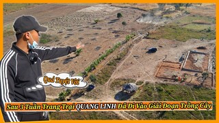 Quanglinhvlogs || Sau 3 Tuần Sẽ Lên Kế Hoạch Trồng Cây Gì Đầu Tiên Tại Quang Linh Farm ?