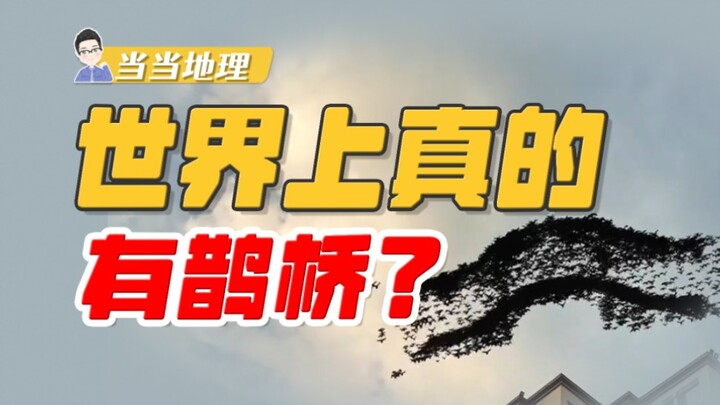 Terbangun terlalu cepat, di Festival Qixi ternyata melihat burung pipit sedang membangun Jembatan Pa