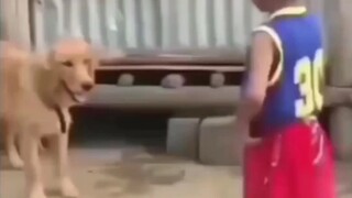 Tongkat terbang datang