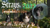 Watch_Full_Strays_Movies_For_Fee_2023_:_Link_In_Description