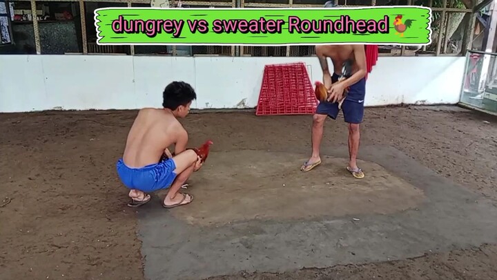 dungrey vs sweater roundhead