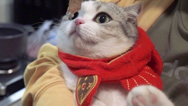 A table full of dishes: Three people and a cat enjoy New Year’s Eve dinner together!