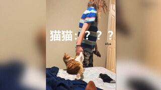 当你告诉你姐她的猫猫还在你的房间里
