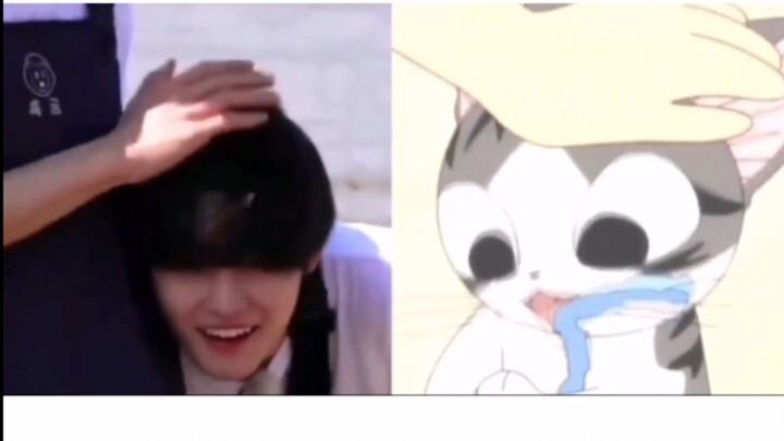 【Starry Sungchen】Spot on! The cutest meal replacement on the whole internet—SHOOT’s real-life versio