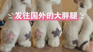 [Zoot Suit] Chubby Legs Sent Abroad