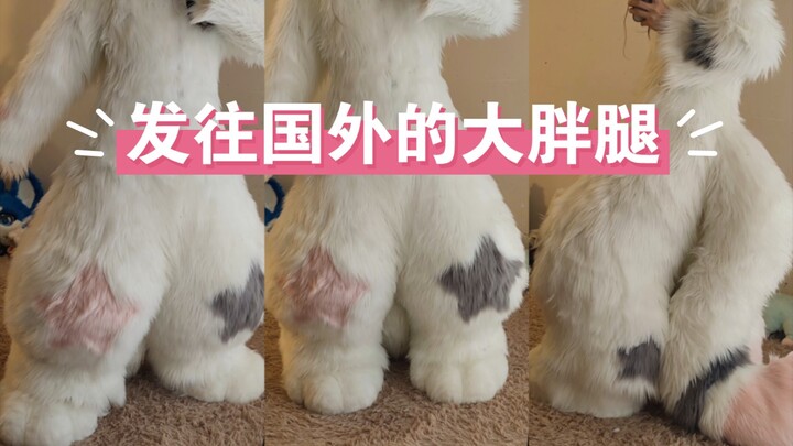 [Zoot Suit] Chubby Legs Sent Abroad