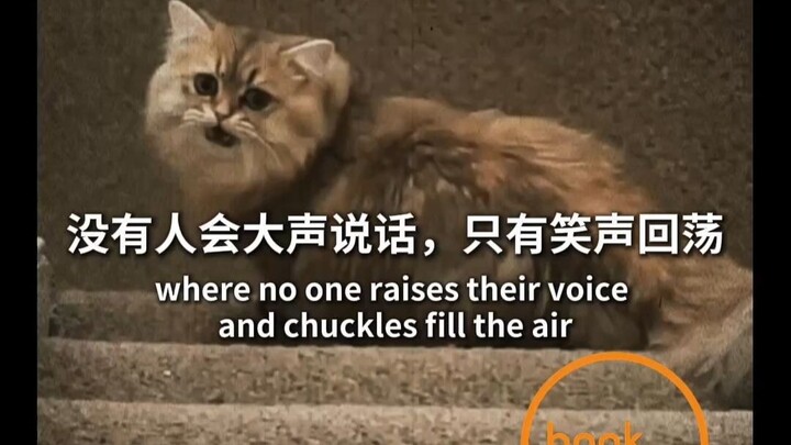 I want to earn enough money