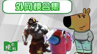 【梗百科】Chill Guy？AI猫猫剧场？布料模拟？外网爆火新梗来袭！