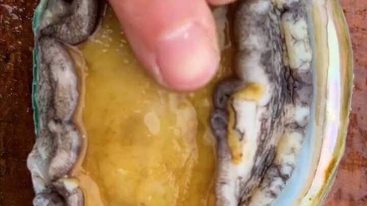 Getting more and more skilled at handling abalone