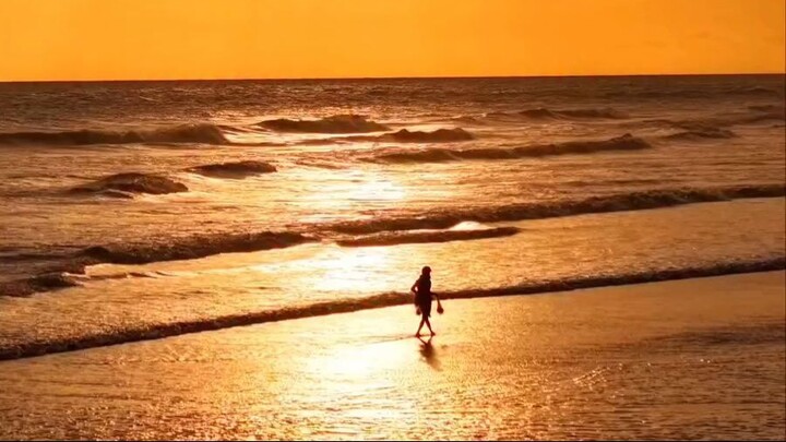 Nature Sea View
