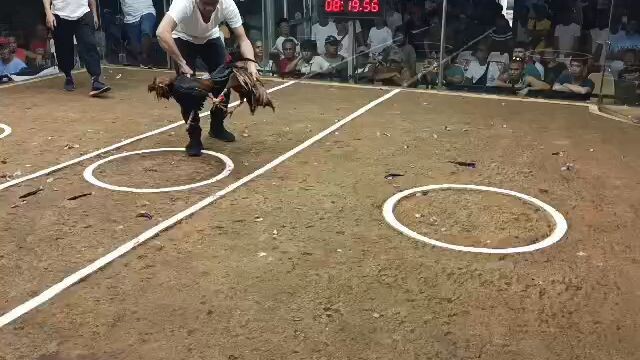 victorious gold signature line,, dragfight in pampanga