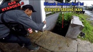 GAK NYANGKA..!!  Mancing di Sarang Ikan Bawah Jembatan Kecil, SAMPE PUTUS 2 KALI!!