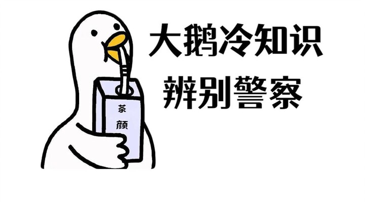 Hướng dẫn bạn cách phân biệt “cảnh sát thật – cảnh sát giả”: Chỉ cần nắm rõ những chi tiết này là đủ
