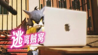 四川方言笑麻了之汤姆猫逃离贼窝