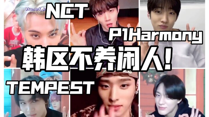 【معجبة في قسم KPOP】أوباه، هل أنت ثري جدًا؟ أوباه، هل لديك سيارة؟ أوباه، أوباه، أين يقع منزلك؟