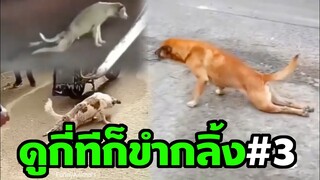 หมาแกงคน ฮาขำหนักมาก (ดูกี่ทีก็ขำกลิ้ง EP4)