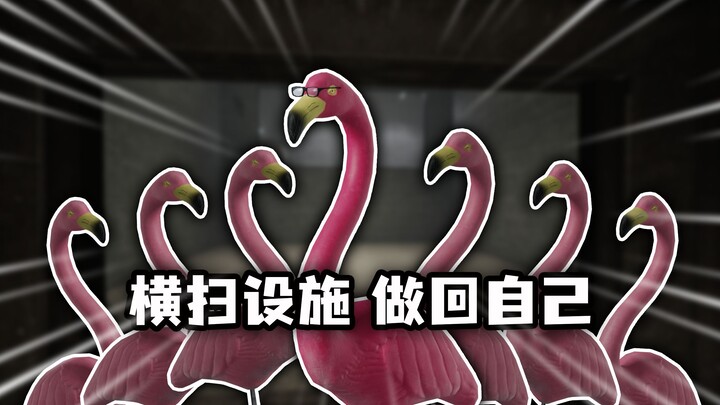 【المختبر السري】 أخطر طائر فلامنغو في التاريخ! «أُعيد تجسدي إلى عام 1507، ثم سيطرت على المنشأة»