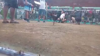 grace panalo tayo diyan 👍👍👍👍