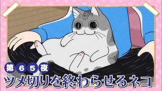 【中日字幕】与猫共度的夜晚/每晚和丘丘在一起 第三季 第65夜「强行终止剪指甲的猫猫」