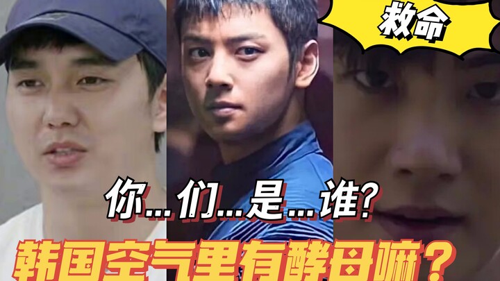 Không nên tiếp tục rắc men vào không khí Hàn Quốc nữa! Cha Eun-woo, Yoo Seung-ho, Park Hyung-sik đã 