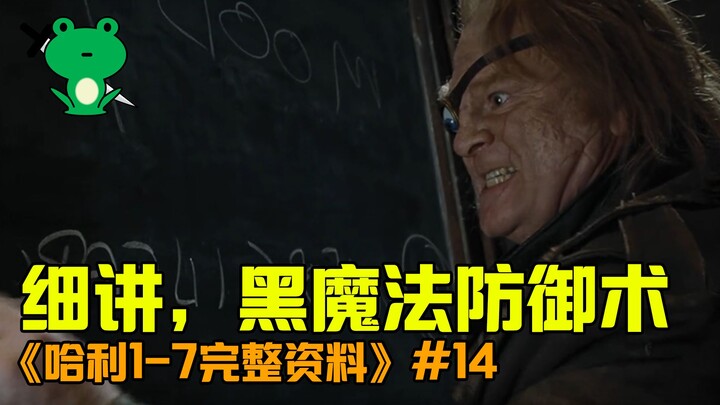 [تذوق هاري 14] بالإضافة إلى مجموعة من التمهيدات، فإن التفاصيل الإبداعية لرولينج مذهلة