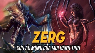 ZERG có thực sự là bầy đàn nô lệ không trí não? Hồ sơ sinh học game - Tập 5