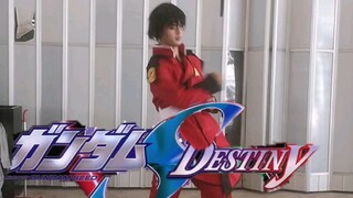 闪  光  的  真  飞  鸟