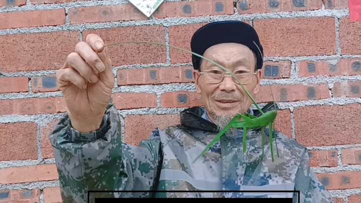 Do you like the grasshopper compiled by grandpa? Have you learned anything yet?