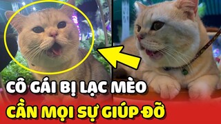 Lời CẦU CỨU của cô gái bị LẠC MẤT MÈO 4 tháng vẫn chưa tìm thấy bé | Yêu Lu