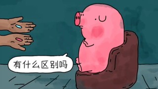 猪猪，请做出你的选择