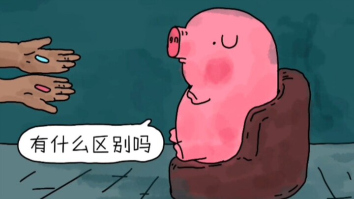 猪猪，请做出你的选择