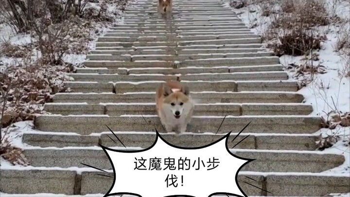 كوري: هذه هي ركلة فوشان الخفية الأسطورية!