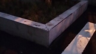 Successfully executed Hakimi Jiangnan in a real battle