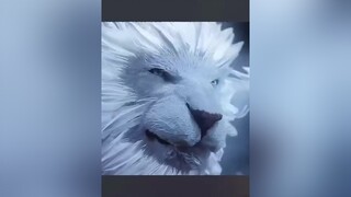 Khi chưa chủ bản tính hung ác, nhưng khi có chủ rồi thì bản tính em rất lương thiện :)) phim phimhaymoinhat