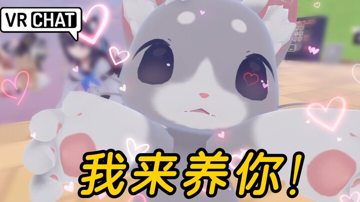 A Japanese guy actually said he wants to take care of me! [Japanese VRChat]