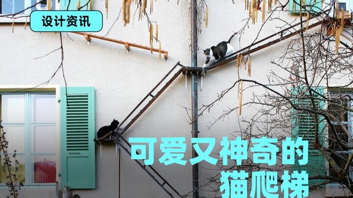 Hệ thống di chuyển độc lập của mèo