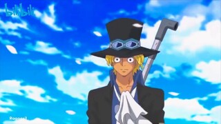 SABO VISIT ACE AND WHITEBEARD GRAVE || ONEPIECE