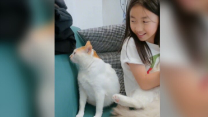 แมว: คุณต้องปล่อยให้ฉันพูดก่อนถึงจะเข้าใจว่าฉันหมายถึงอะไรเหรอ?