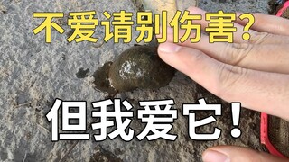 Don't hurt me if you don't love me? But I do love it! Apple Snail Sauce!!!