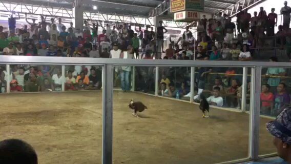 alimbuyugin na bulag walang sina santo.