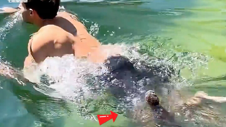 Người đàn ông đang bơi thì bị rái cá theo dõi; đem về nhà nuôi một thời gian, mới phát hiện mình đã 