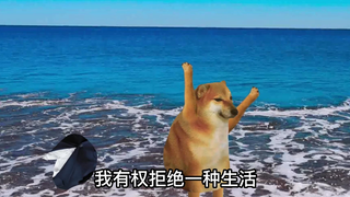 人生是旷野，不是轨道