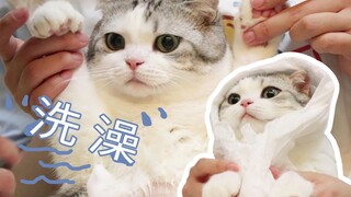 The playful cat got into the litter box and ended up getting a nasty bath—letting people poke and pr