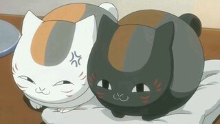 Nyanko-sensei xuất hiện. Riou thật dịu dàng.