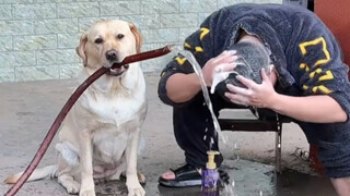 “ไม่แต่งงานแล้วตอนแก่ใครจะดูแลคุณ? เชิญชม VCR”