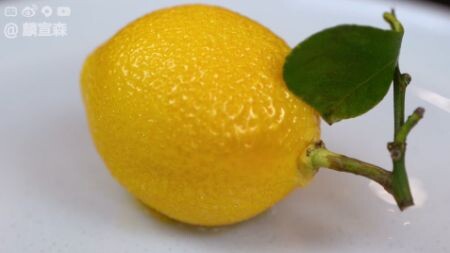 龙吟柠檬
