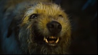 Arthur the King (2024) Official Trailer - Mark Wahlberg, Simu Liu, Juliet Rylanc